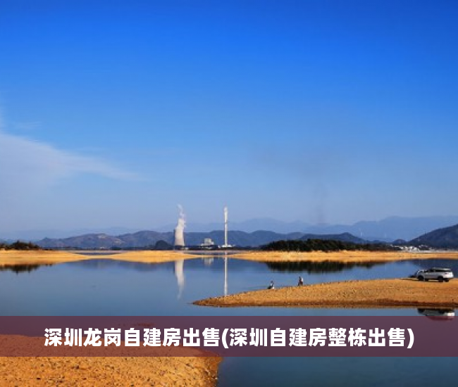 深圳龙岗自建房出售(深圳自建房整栋出售)