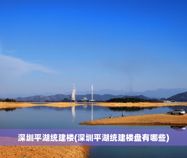 深圳平湖统建楼(深圳平湖统建楼盘有哪些)