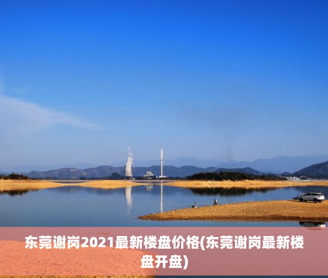 东莞谢岗2021最新楼盘价格(东莞谢岗最新楼盘开盘)