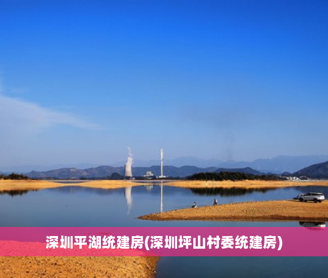 深圳平湖统建房(深圳坪山村委统建房)