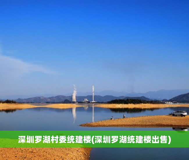 深圳罗湖村委统建楼(深圳罗湖统建楼出售)