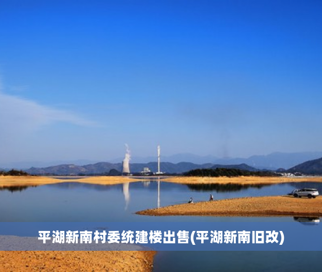 平湖新南村委统建楼出售(平湖新南旧改)