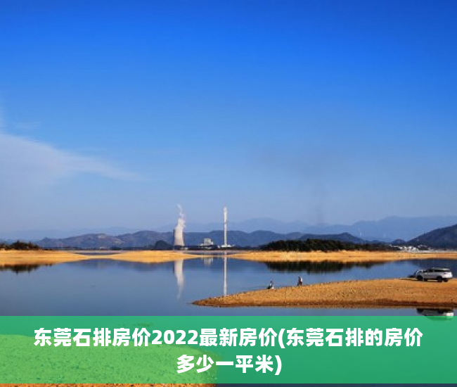 东莞石排房价2022最新房价(东莞石排的房价多少一平米)