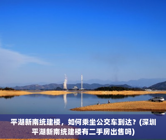 平湖新南统建楼，如何乘坐公交车到达？(深圳平湖新南统建楼有二手房出售吗)