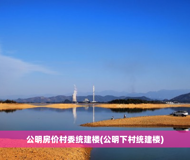 公明房价村委统建楼(公明下村统建楼)